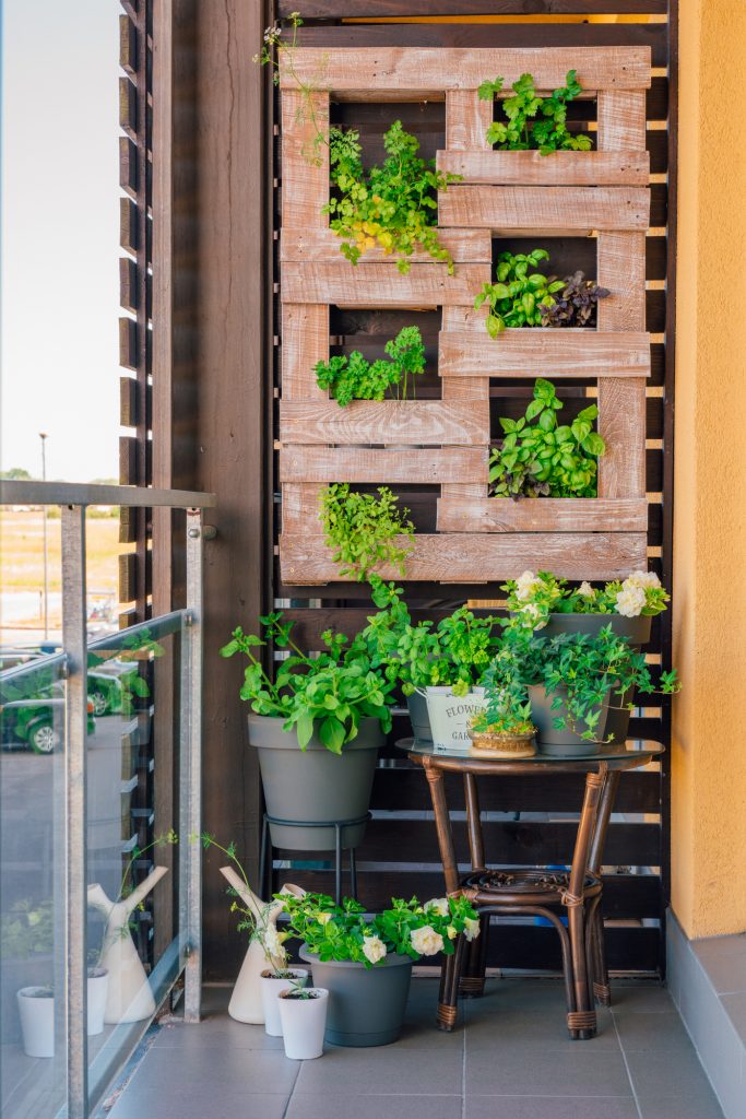 vertical herb garden on a modern patio