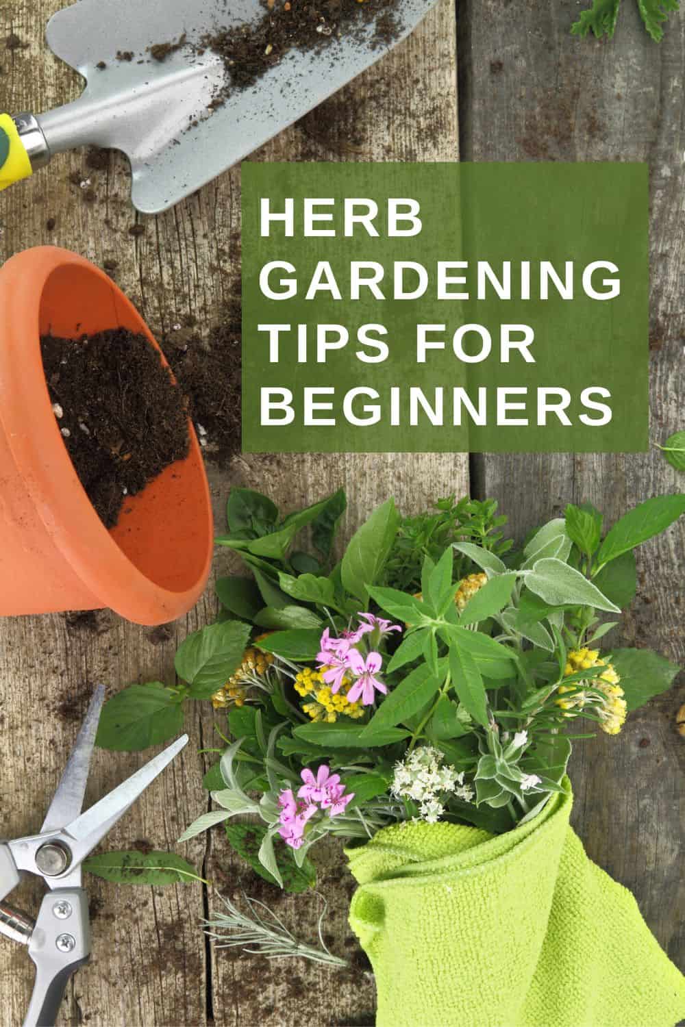 herb gardening supplies on a wooden background with text overlay 'herb gardening tips for beginners'