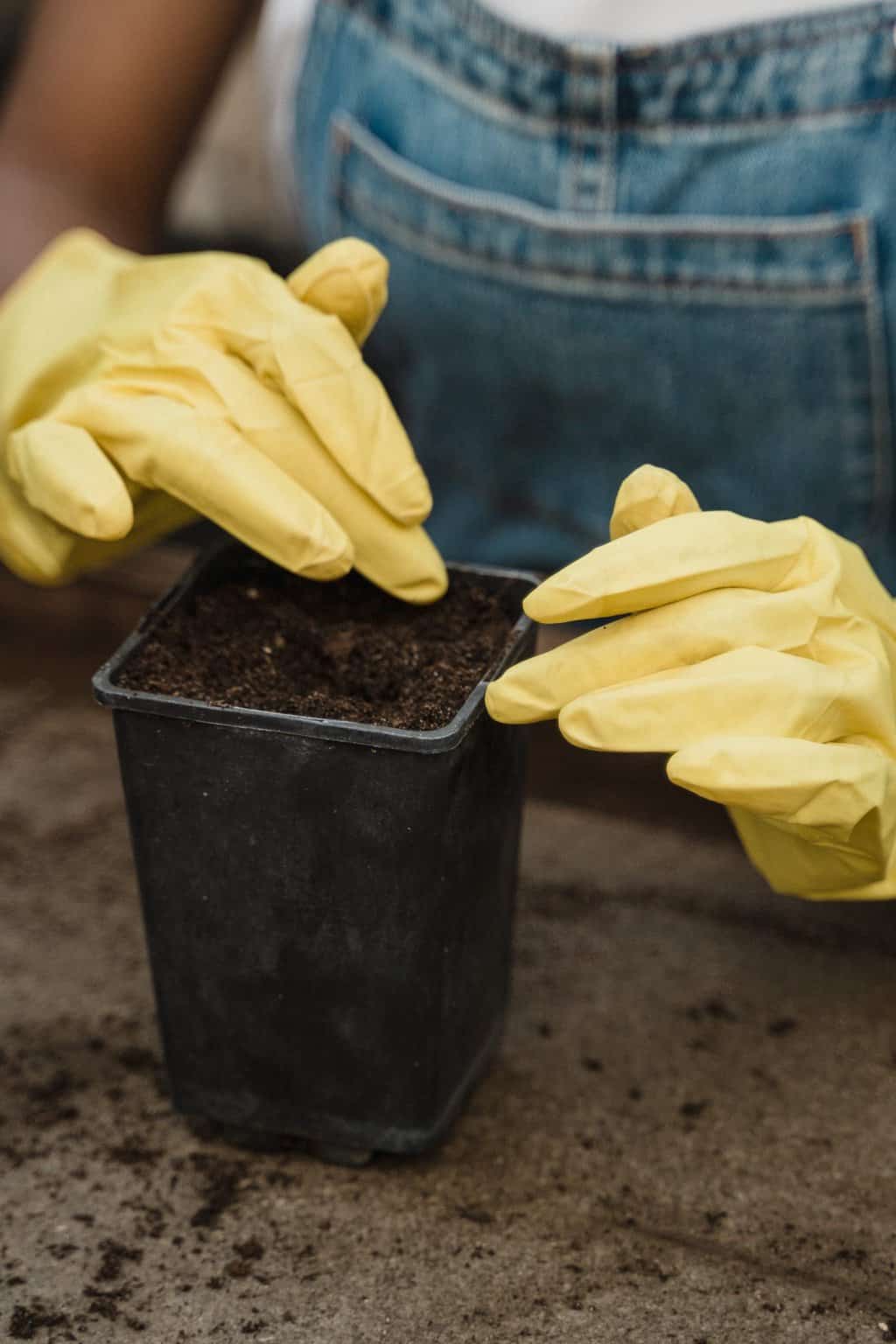 woman wearing gardening gloves in front of pot with potting soil 