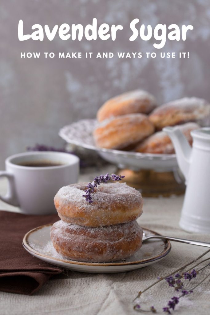 homemade donuts on a white plate topped with fresh lavender and lavender sugar
