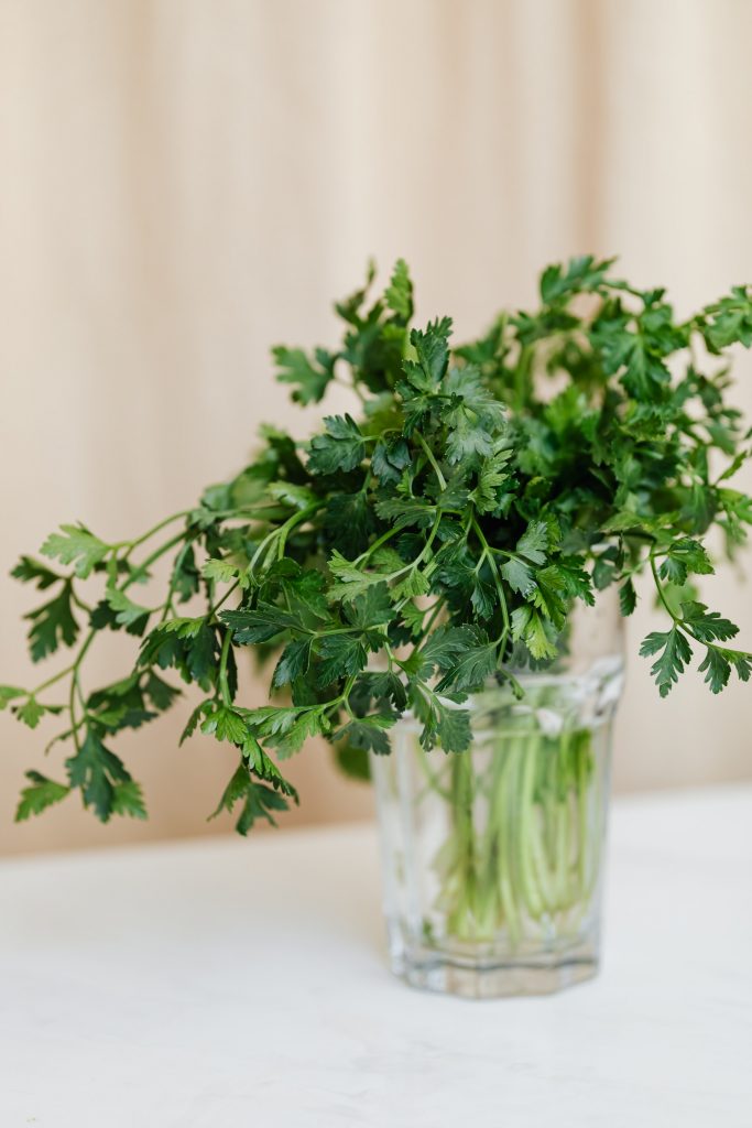 parsley in a glass of water on a kitchen counter