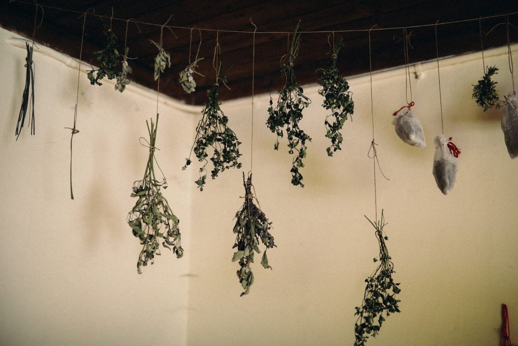 fresh herbs hanging from ceiling to dry