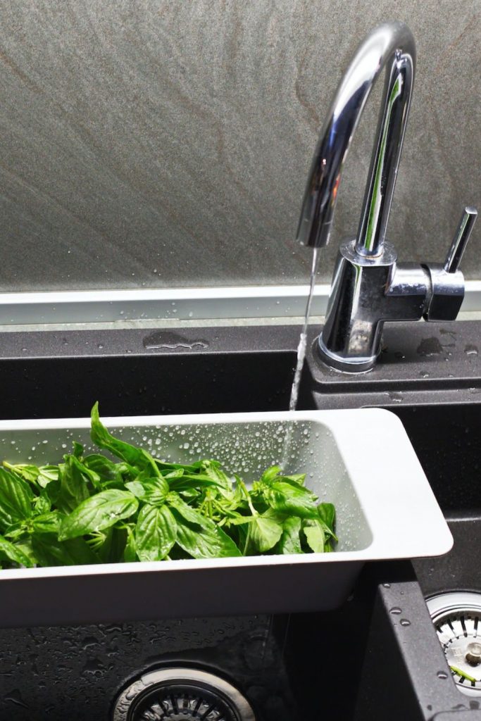 fresh basil being washed in the sink before drying