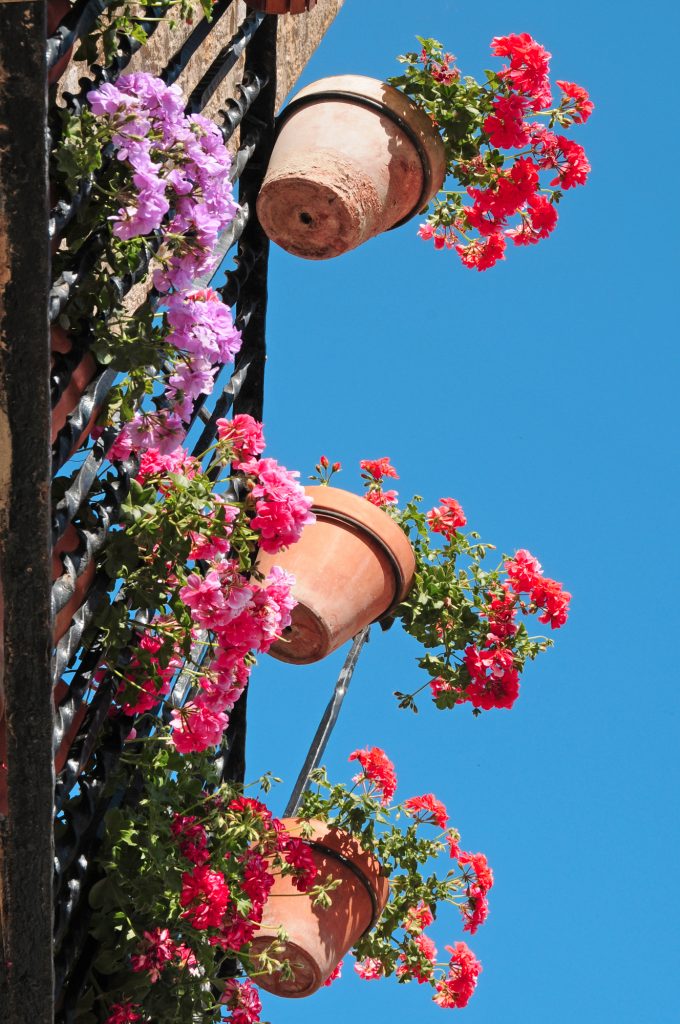 a typical spanish balcony with geranium flowers