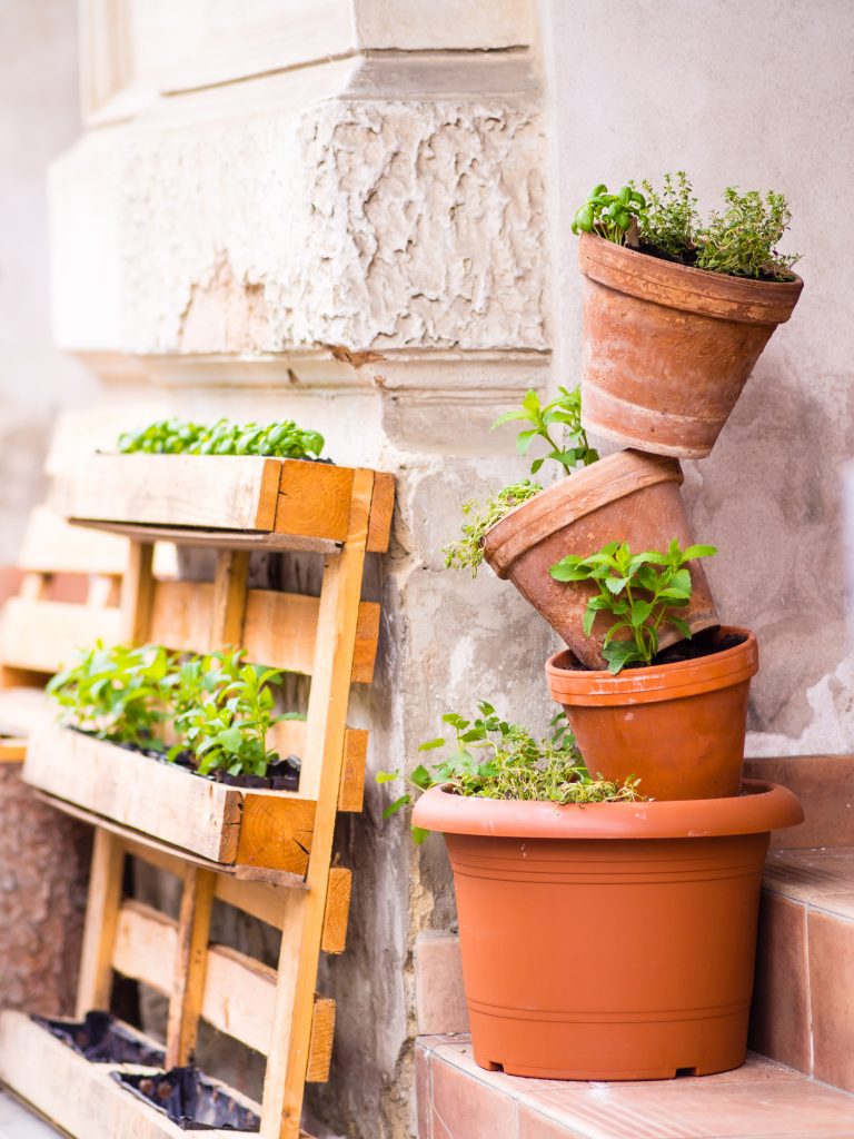 Mini gardening - several pots with plants stacked outdors