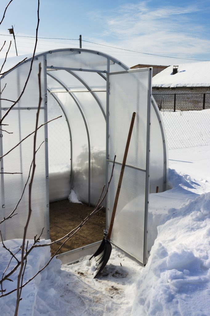 small empty greenhouse in yard surrounded by snow