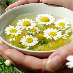 chamomile hair rinse in a white bowl